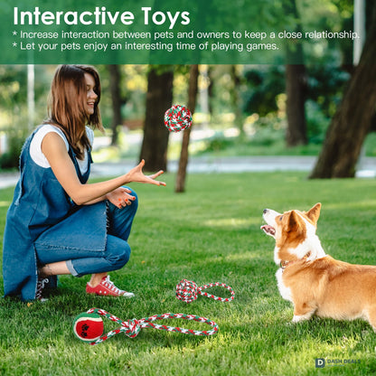 Christmas Dog Rope Chew Toy Set — 5 Pieces for Puppies, Small & Aggressive Chewer Dogs
