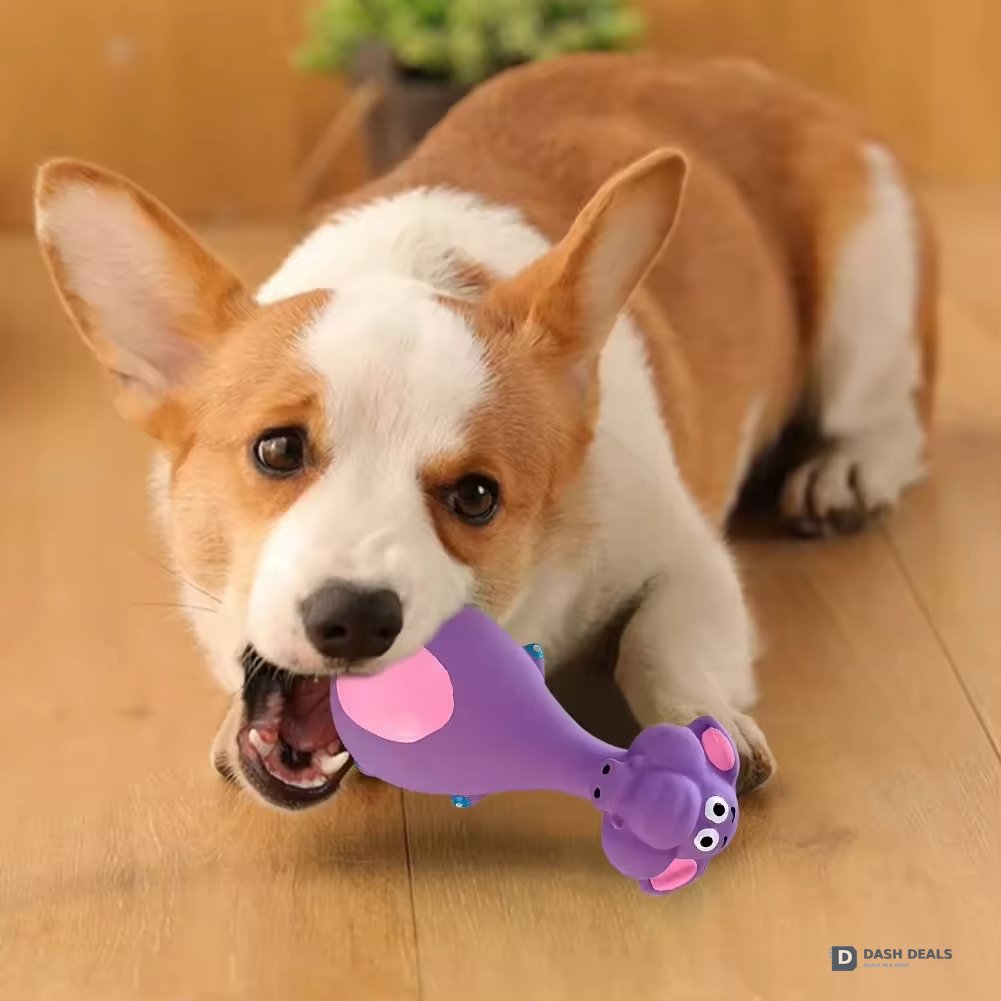 Latex Squeaky Dog Toys 4-Pack — Interactive Dental Chew for Puppies & Aggressive Chewers