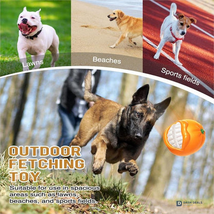 Tough Squeaky Ball Dog Toy for Aggressive Chewers — Training, Fetch, Indestructible