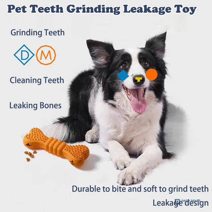 Dog Dental Chew Sticks Bundle — Toothbrush Toy for Tartar Control, All Sizes