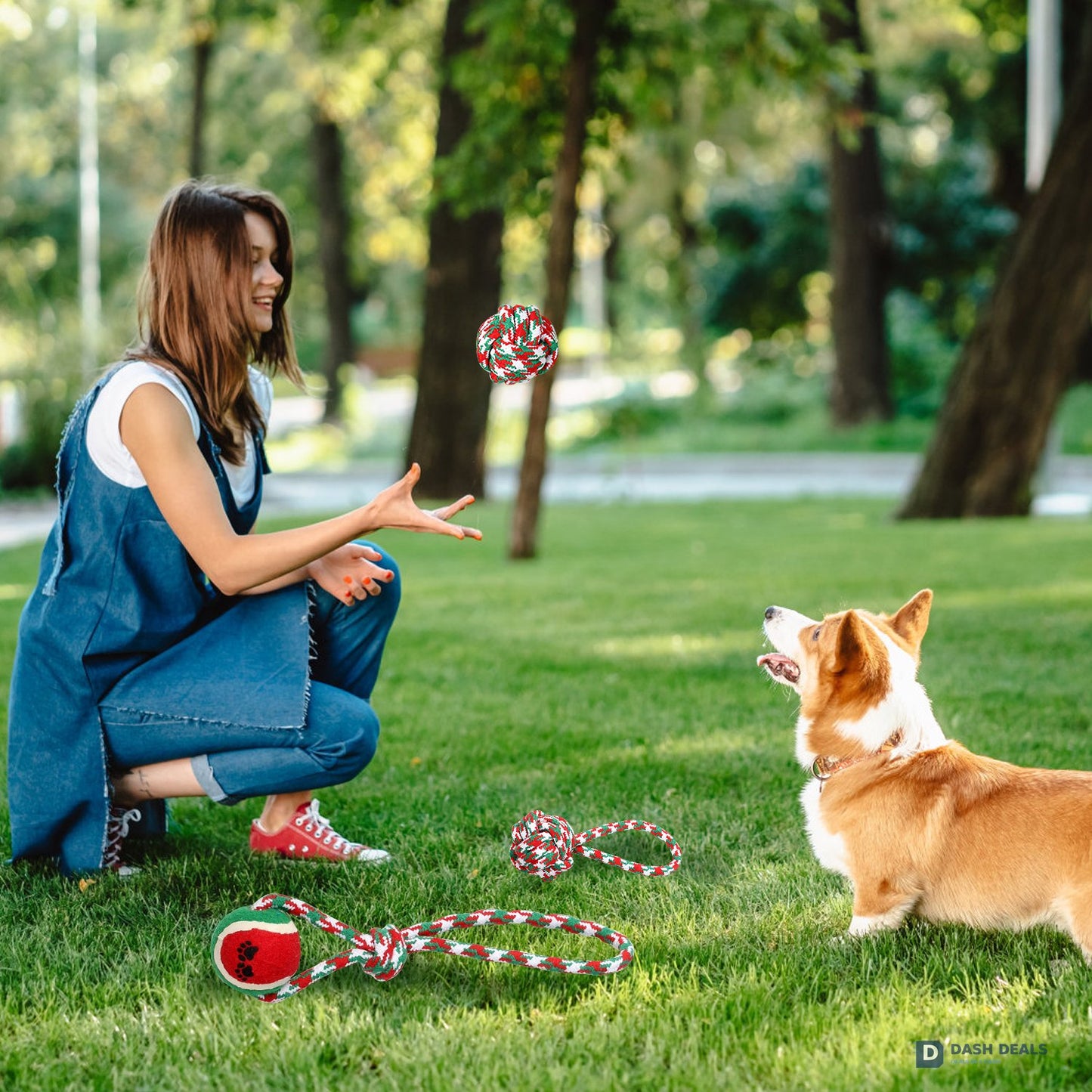 Christmas Dog Rope Chew Toy Set — 5 Pieces for Puppies, Small & Aggressive Chewer Dogs