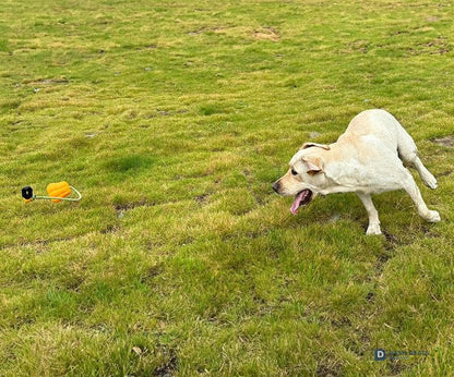 Heavy-Duty Dog Rope Fetch & Tug-of-War Toy — Aggressive Chewers, Indoor & Outdoor