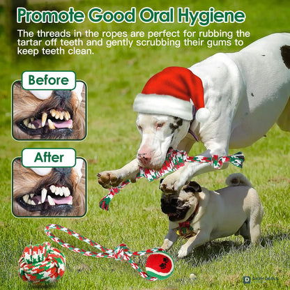 Christmas Dog Rope Chew Toy Set — 5 Pieces for Puppies, Small & Aggressive Chewer Dogs