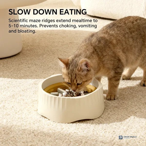2-in-1 Cat Slow Feeder Bowl — Switchable Fast & Slow Feed, Large Plastic for Wet & Dry Food
