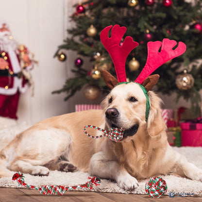 Christmas Dog Rope Chew Toy Set — 5 Pieces for Puppies, Small & Aggressive Chewer Dogs