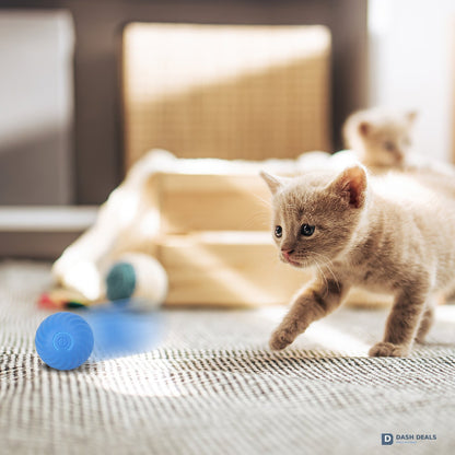 Motion-Activated Rolling Ball Cat Toy — Rechargeable Auto-Play for Indoor Cats