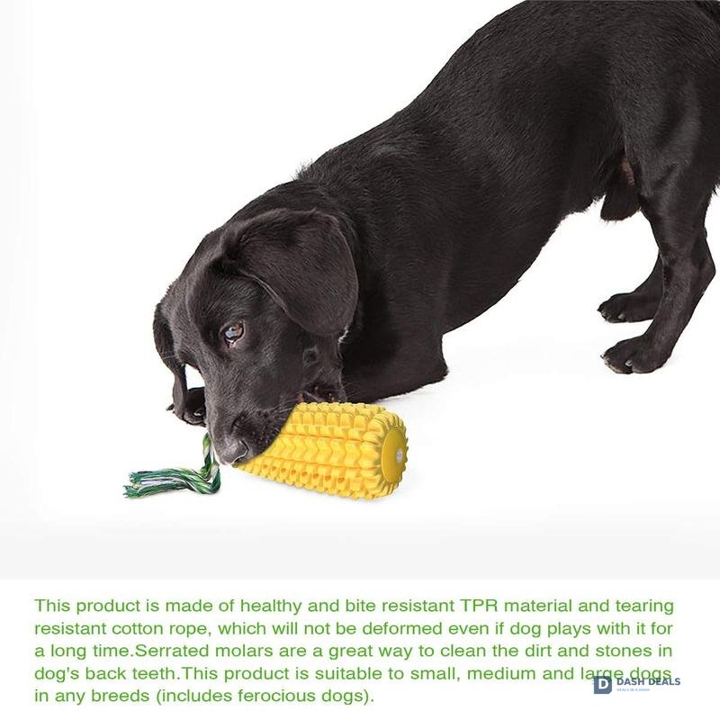 Squeaky Corn-Stick Dog Chew & Rope Toy — Small, Medium & Large Breeds