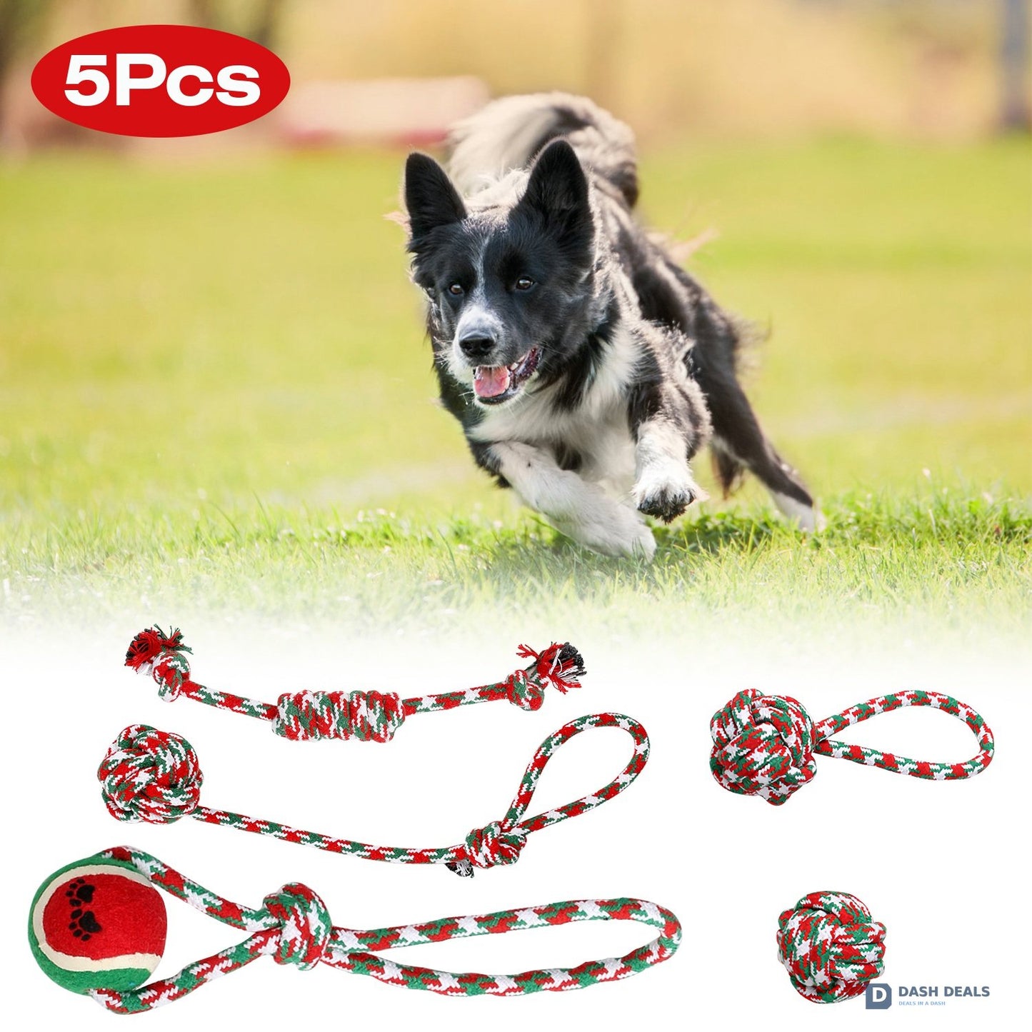 Christmas Dog Rope Chew Toy Set — 5 Pieces for Puppies, Small & Aggressive Chewer Dogs