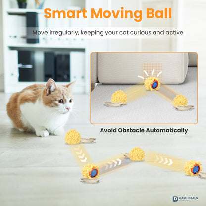 Motion-Activated Rolling Ball Cat Toy — Rechargeable Auto-Play for Indoor Cats