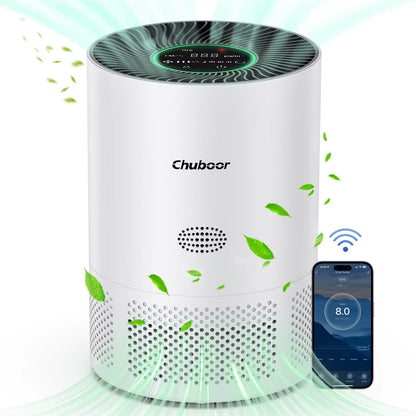 Air Purifiers for Home H13 True HEPA for Bedroom Room Kitchen Washroom for Smoke and Dust Pollen Odors PM2.5 Detection